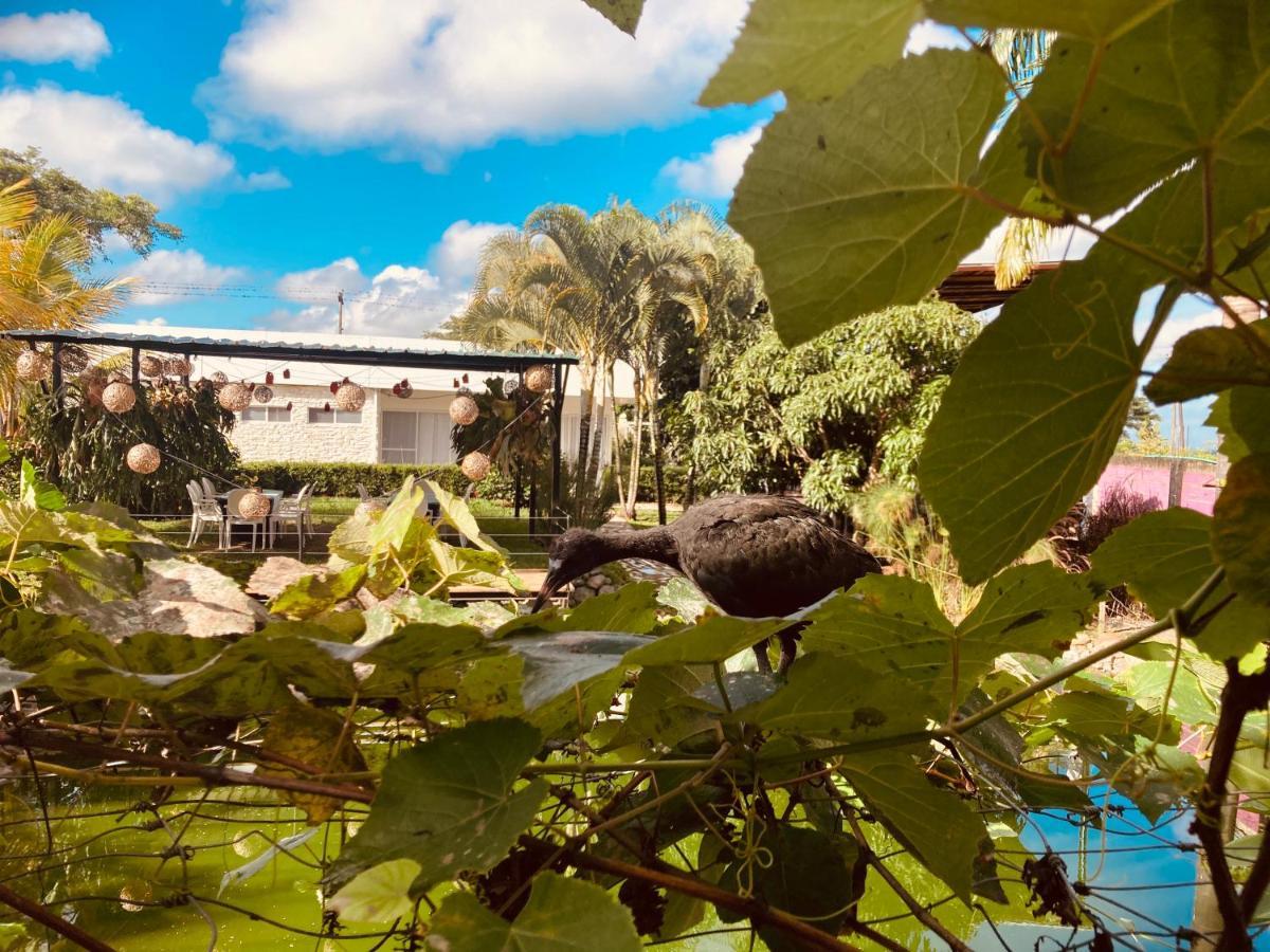 Villa Cristal Santa Helena Exterior foto